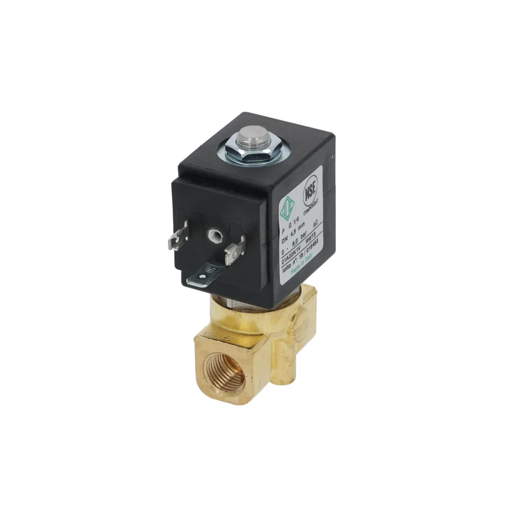 24V 1/4" Two-way ODE Solenoid