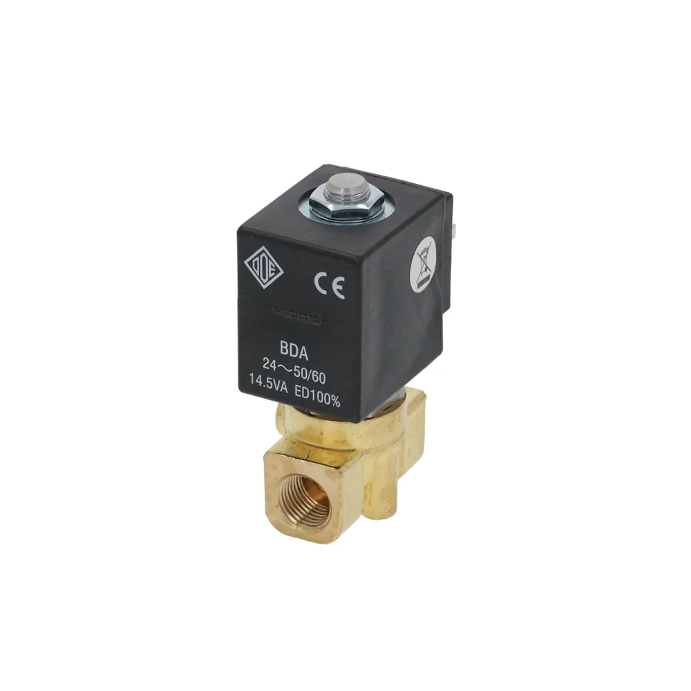 24V 1/4" Two-way ODE Solenoid