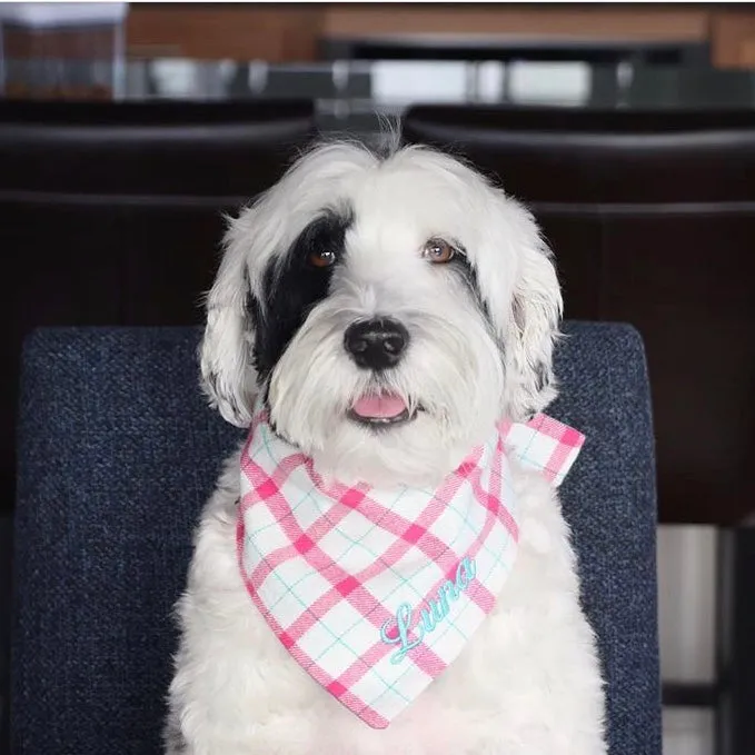 Personalized Flannel Dog Bandanas