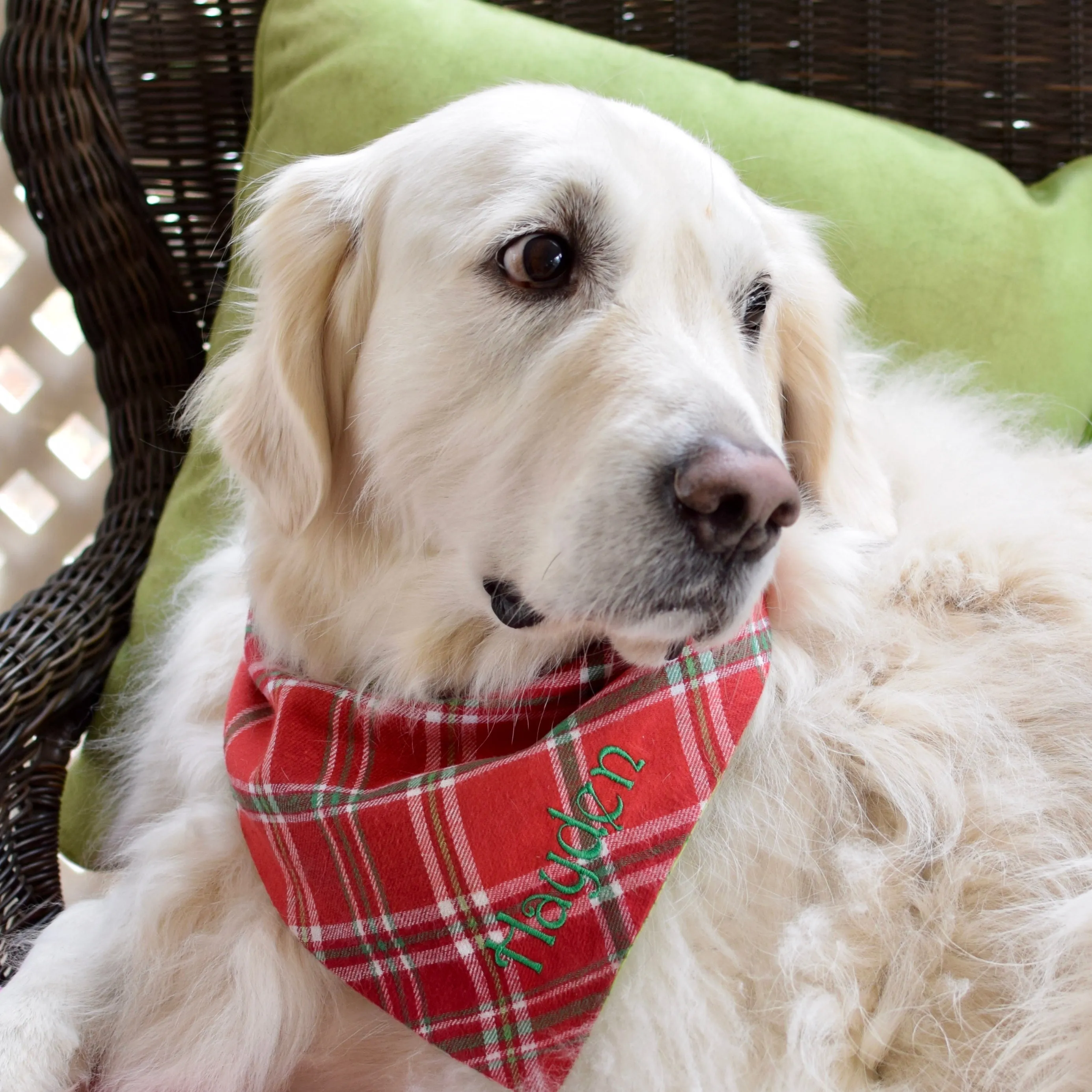 Personalized Flannel Dog Bandanas