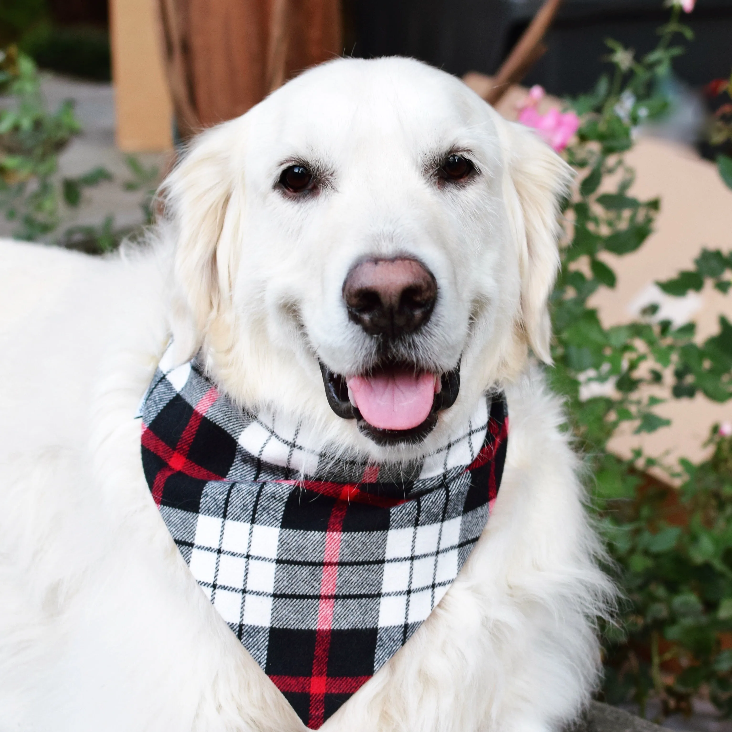 Personalized Flannel Dog Bandanas