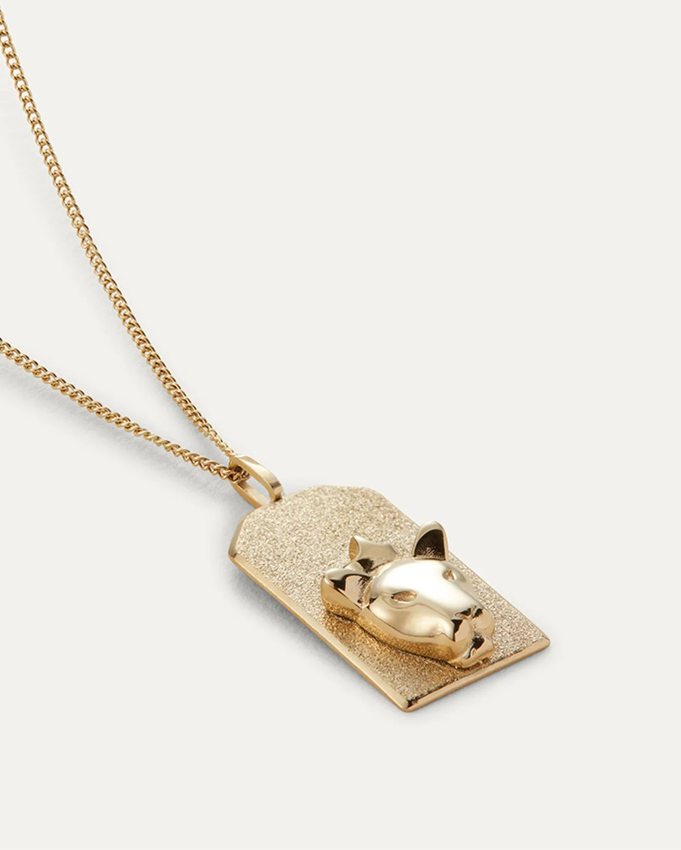 The Leo Zodiac Pendant Necklace