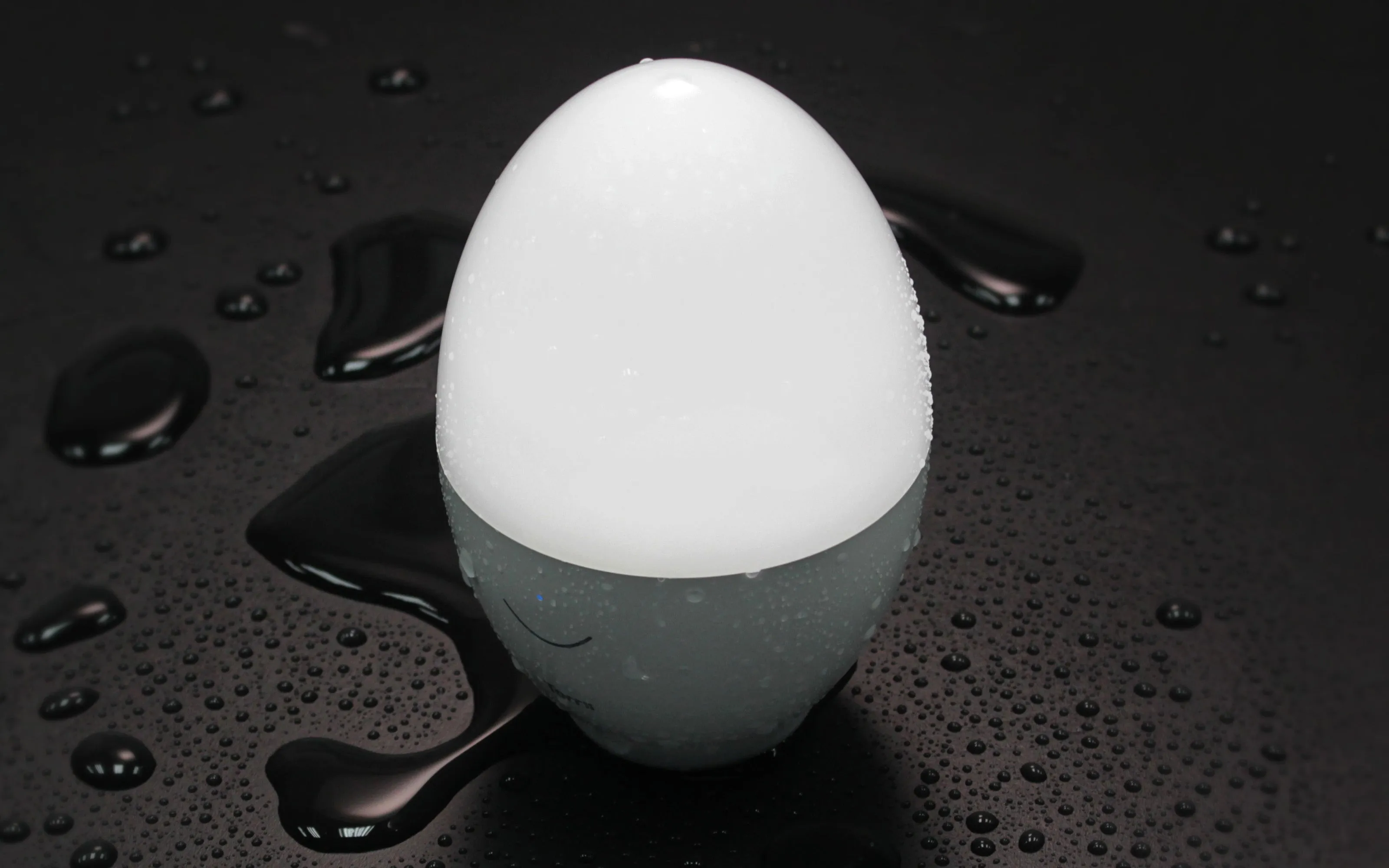 TORRII Tamago LED Portable Lamp