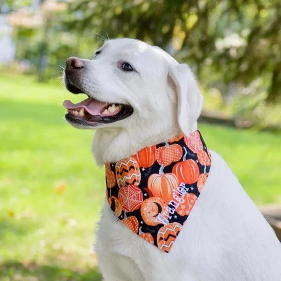 Turkeys & Pumpkins Fall Harvest Pet Bandanas